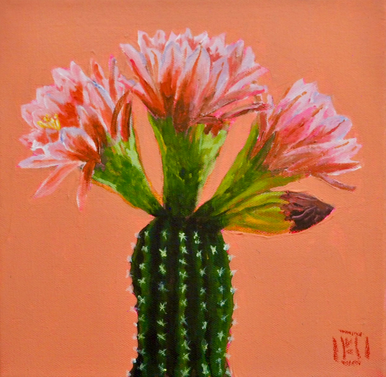 In Bloom